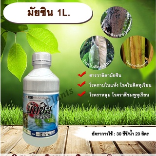 มัยซิน 1L. วาลิดามัยซิน สารป้องกันกำจัดโรคพืช สารป้องกันเชื้อรา โรคกาบใบแห้ง โรคราหลุม ในข้าว โรคใบติดทุเรียน