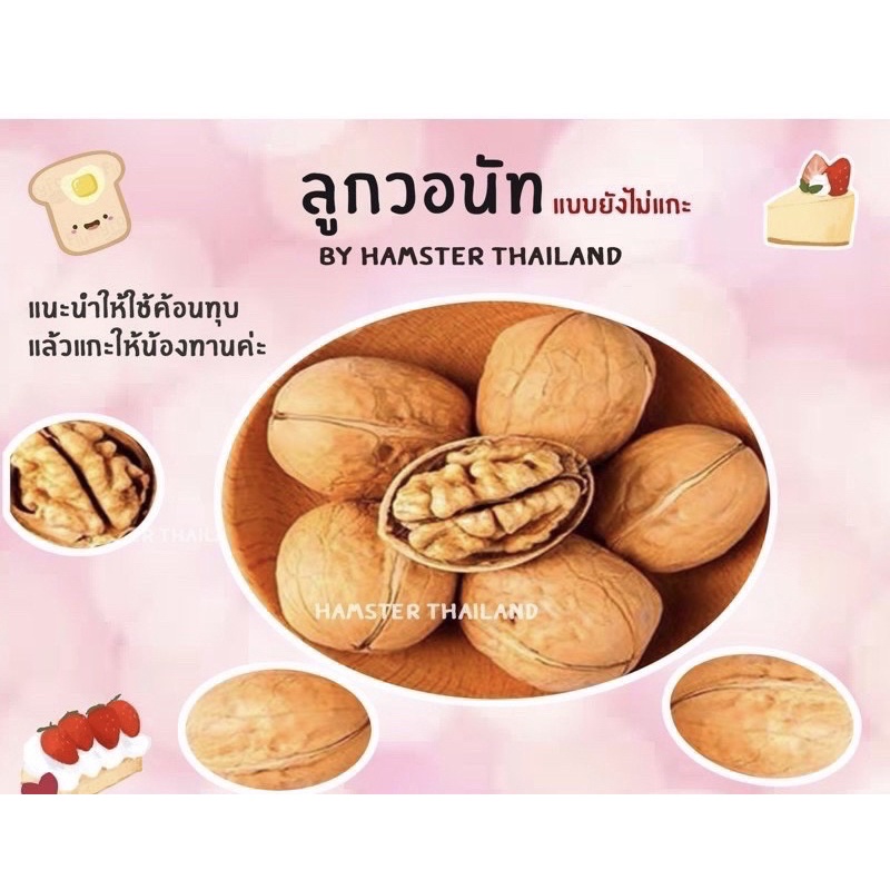 [Hamsterthailand] วอลนัทแบบยังไม่แกะเปลือก‼️ วอนัท 5 ลูก ถั่ว ขนม อาหาร สำหรับสัตว์เลี้ยง แฮมสเตอร์