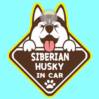 ป้ายติดรถยนต์ DIC46 จุ๊บติดกระจก DOG IN CAR ❤ Siberian Husky ❤ ป้ายติดกระจก ป้าย สติ๊กเกอร์