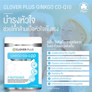 Clover Plus Ginkgo CO Q10 อาหารเสริม สารสกัด จาก ใบแปะก๊วย วิตามินบี6 วิตามินบี1 วิตามินบี2 คิวเท็น 1 ซอง 7 แคปซูล