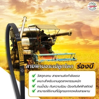 จระเข้ลูกโลก สายพาน (ร่อง B เรียบ) B41 B42 B43 B44 B45 B46 B47 B48 B49 B50 B51 B52 B53 B54 B55 B56 B57 B58 B59 B60