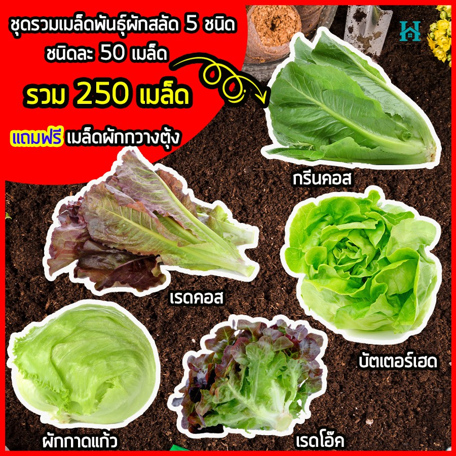 My Image 30