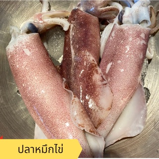 อาหารทะเล พร้อมส่ง! ปลาหมึกไข่ / Heng Heng Seafood