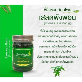 น้ำมันหม่องไพลและน้ำมันหม่องเสลดพังพอน Beeswax Balm (Acanthaceae) ,(Zingiber cassumunar)ไพลภูมิจันท์  แบบขี้ผึ้ง