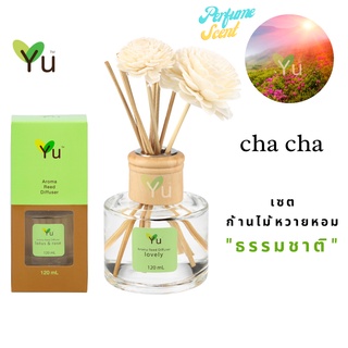 🌟🎁 ก้านไม้หอม 120 ml. กลิ่น Cha Cha (ชาช่า) กลิ่นคล้าย Gucii Rush Eau de Toilette กลิ่นหอมที่สะท้อนรสนิยมหรูหรา