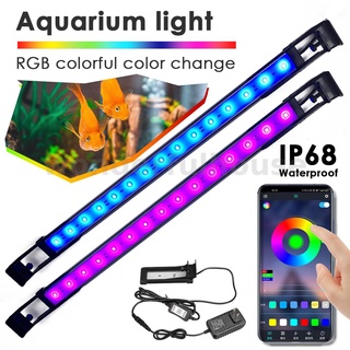 ตู้ปลาใต้น้ํา เปลี่ยนสีได้ ควบคุมผ่านแอพ ไฟ LED ที่มีสีสัน 12 ซม.