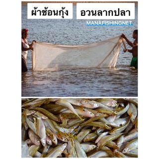 ที่จับกุ้งฝอย ปลาซิว ปลาตัวเล็ก