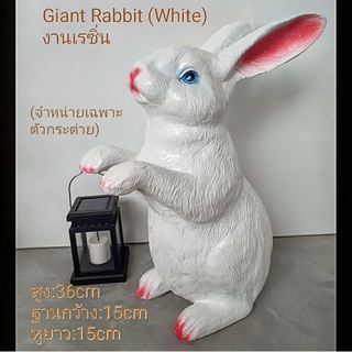🐇Giant Rabbit แต่งสวน🐾 ตัวใหญ่ น่ารักมากๆ🐰 ตากแดดตากฝนได้ 💥อ่านก่อนสั่ง💥