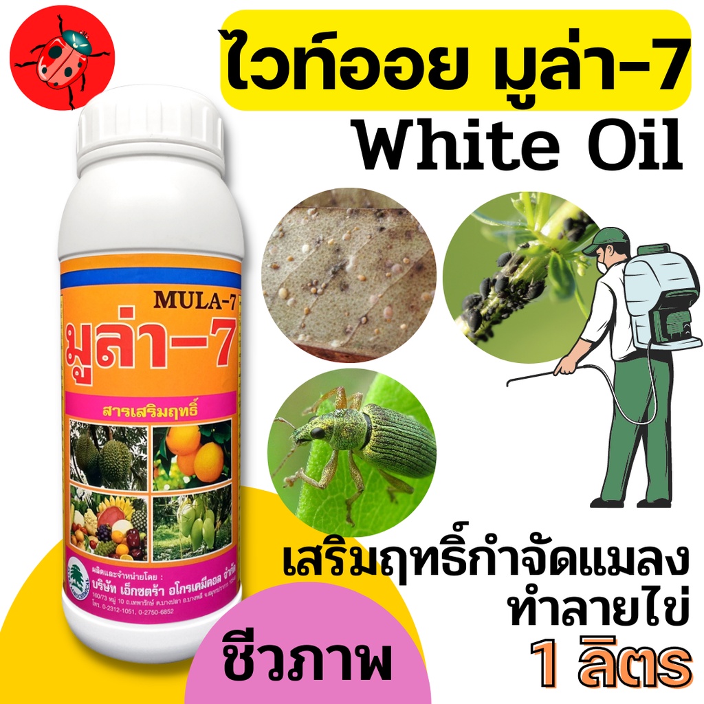 [1 ลิตร] มูล่า ไวท์ออย white oil 99.8% กำจัดแมลง ป้องกันเพลี้ย ไรแดง แมลงหวี่ คุมไข่แมลง