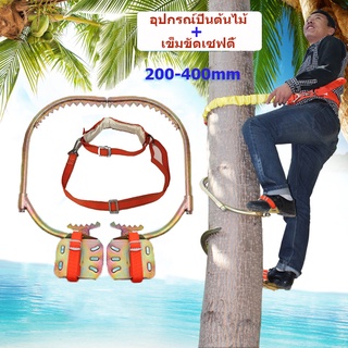 ที่ปีนต้นไม้ อุปกรณ์ปีนต้นไม้ Tree Climbing ปีนต้นไม้ ต้นไม้ รุ่น เข็มขัดเซฟตี้ เข็มขัดนิรภัยคาดเอวครึ่งตัว