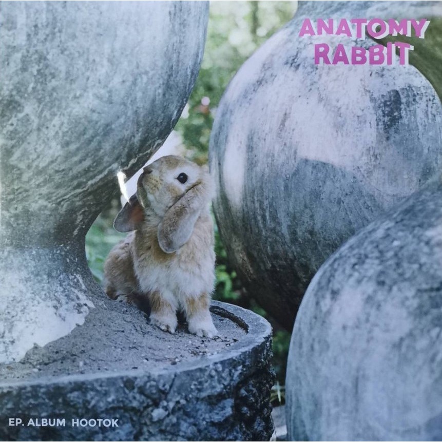 Anatomy Rabbit - Hootok (Pink&White Mixed Vinyl)