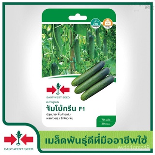 East-West Seed เมล็ดพันธุ์แตงร้าน (Cucumber seeds) จัมโบ้กรีน F1 เมล็ดพันธุ์ผัก เมล็ดพันธุ์ ผักสวนครัว  ตราศรแดงCosmosMa