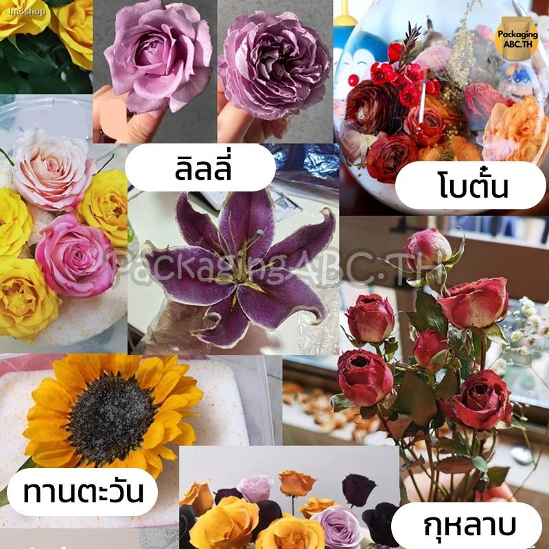 My Image 42