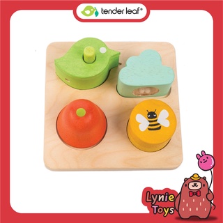 Tender Leaf Toys ของเล่นไม้ ของเล่นเด็กเล็ก ชุดพัฒนาการด้านเสียง Audio Sensory Tray