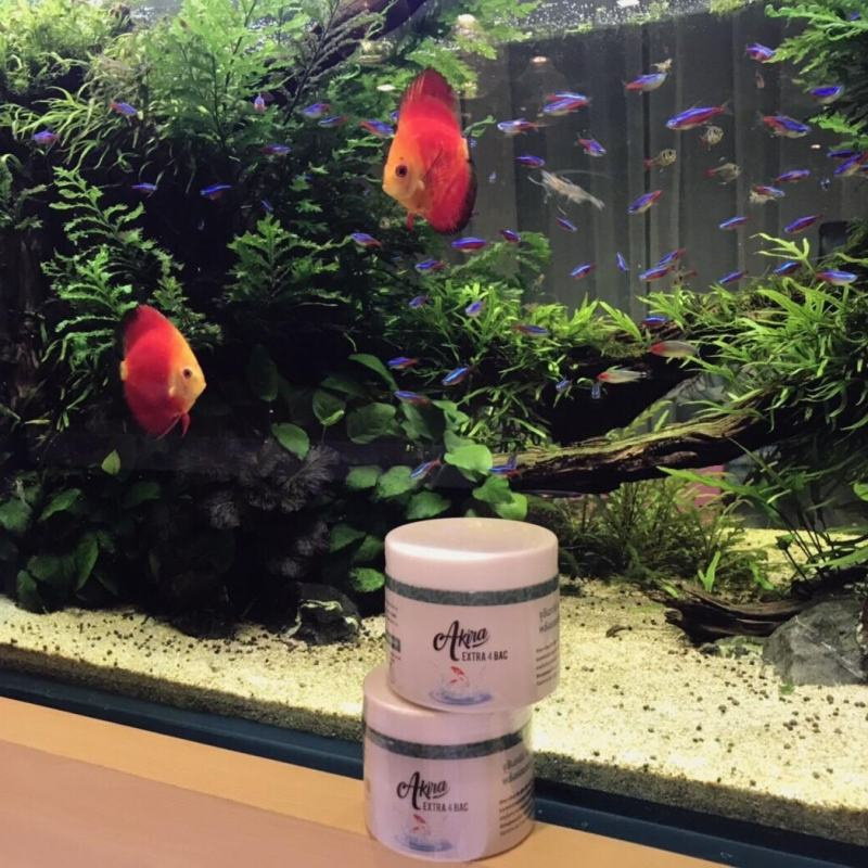 จุลินทรีย์น้ำใส Extra 4 bac น้ำใส สะอาด ย่อยสลายตะกอน ขนาด 300 กรัม - รูปที่ 4