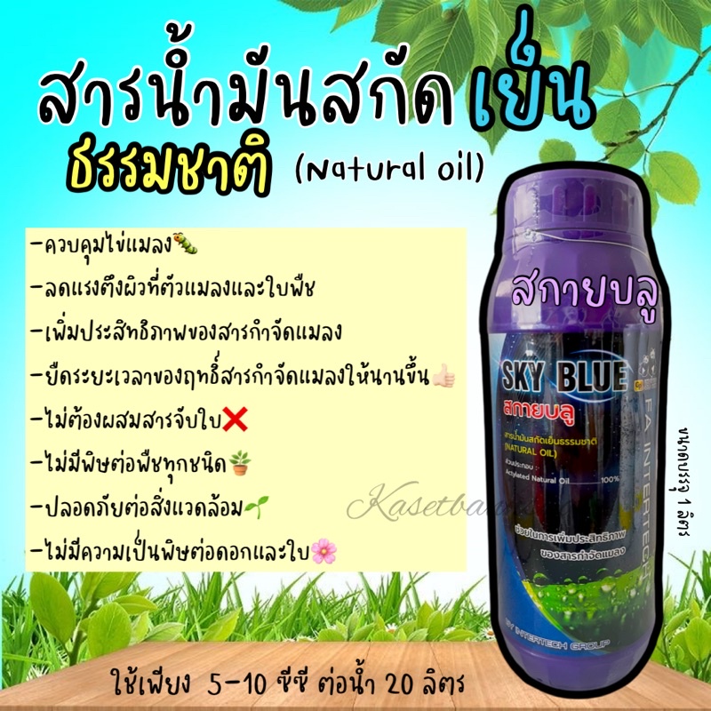 🐛สกายบลู🔹 สารสกัดธรรมชาติ เสริมฤทธิ์สารกำจัดแมลง ควบคุมไข่แมลง #ไวต์ออยล์ #ไวท์ออยล์