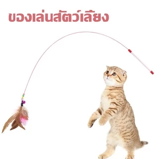🐱ไม้ล่อแมวแบบขนนก ของเล่นแมว ไม้ตกแมวแบบสปริง แบบลวดสลิง ของเล่นแมว