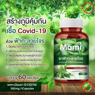 🌿🌿(พร้อมส่งรับจำนวนมากแจ้งได้นะคะ)ฟ้าทลายโจร 60แคปซูล ( สมุนไพรไทย 100% )