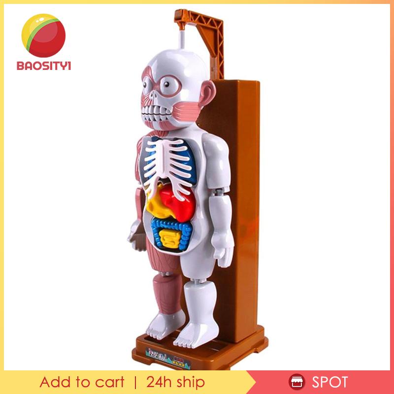 Assembly Human Body Model Halloween Favors Tricks Puzzle Games Kids Adults
