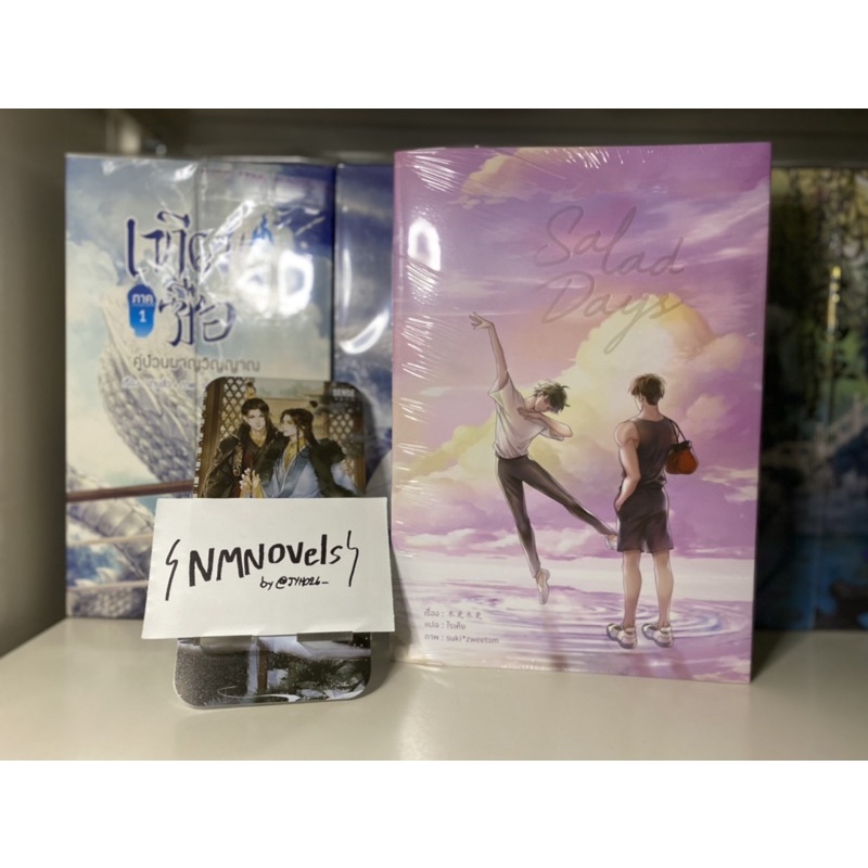 (นิยายวายแปลจีน) Salad Days ชุดสะสม รอบจองของครบ