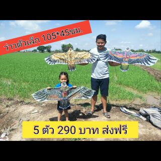 ว่าวไล่นกตัวเล็ก ส่งฟรี