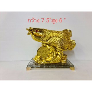ปลามังกร ปลามังกรทอง ปลามังกรฐานแก้ว ปลามงคลแห่งความมั่งคั่ง และโชคลาภ