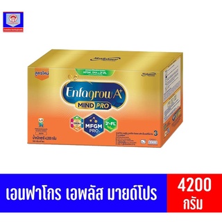 เอนฟาโกร เอพลัส มายด์โปร DHA+ MFGM โปร3 นมผงสำหรับเด็ก สูตร 3 รสจืด 4200กรัม