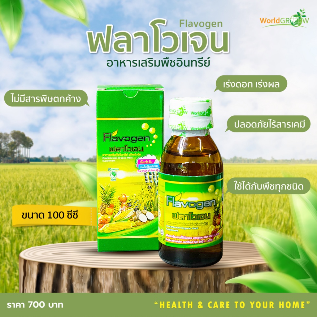 ฟลาโวเจน อาหารเสริมพืชอินทรีย์ ขนาด 100 ซีซี สูตรบำรุงพืช ผลผลิตดี ปลอดภัยต่อผู้บริโภค พร้อมส่ง