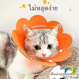 UBT คอลล่าแมว ปลอกคอดอกไม้ ปลอกคอกันเลีย คอลล่าสุนัข  Cat coll