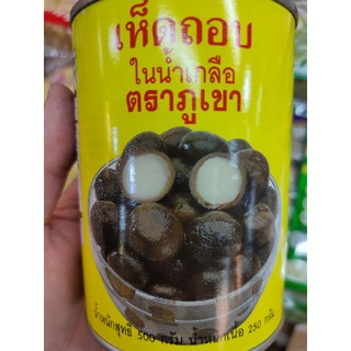 เห็ดถอบ / เห็ดเถาะ ในน้ำเกลือ เนื้อเห็ด 250g / น้ำหนักรวม 500g สินค้าเชียงใหม่จ้าวว