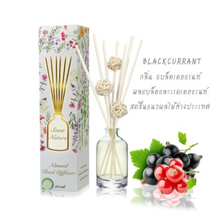 เซนต์เนเจอร์  ก้านไม้หอมอโรม่า กลิ่น blackcurrant