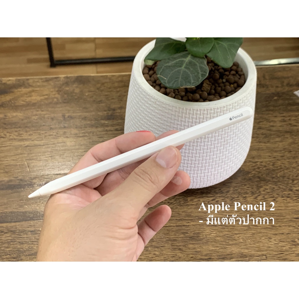 Apple pencil 2 ขาย 3,290 บาท