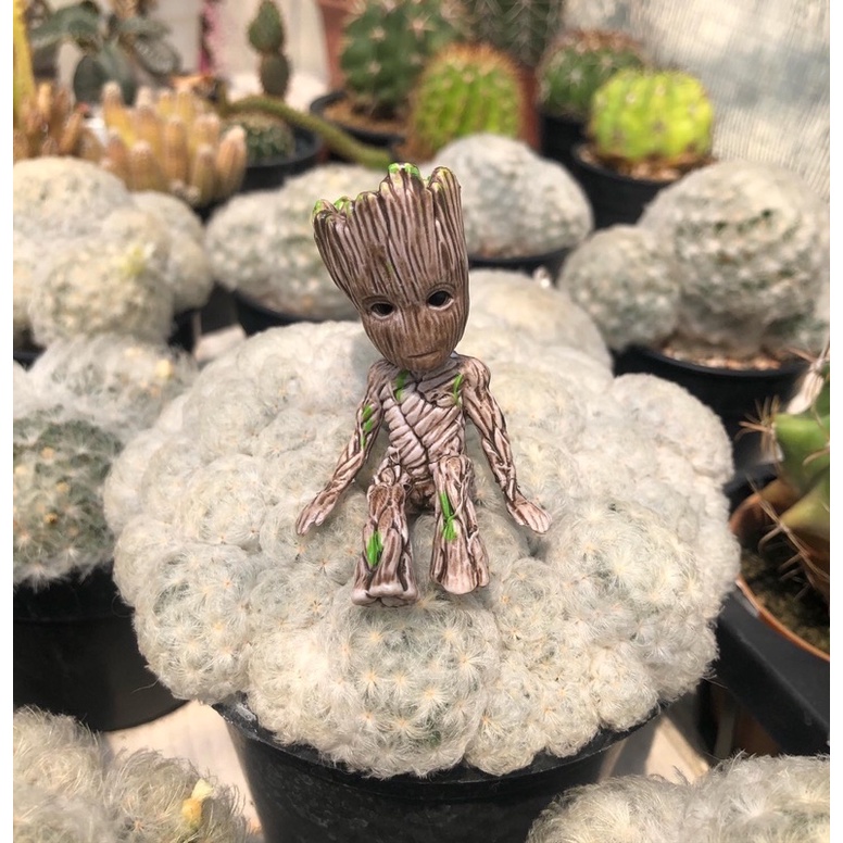 baby groot groot เบบี้กรูท กรูท มาเวล ขนาด6cm ตั้งโชว์  ของใหม่ในซีล baby groot groot