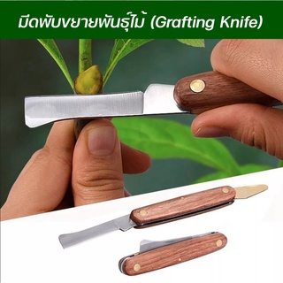 มีดพับขยายพันธุ์ไม้ (Grafting Knife) มีดเสียบยอด มีดติดตา มีดทาบกิ่ง มีดตอนกิ่ง