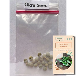 จุดเมล็ดOkra Seeds, Vegetable Seeds #007คื่นฉ่าย/เด็ก/เมล็ด/สร้อยข้อมือ/หมวก/ดอกไม้/กางเกง/ผักชี/ดอกทานตะวัน/ผู้ชาย/ YY0