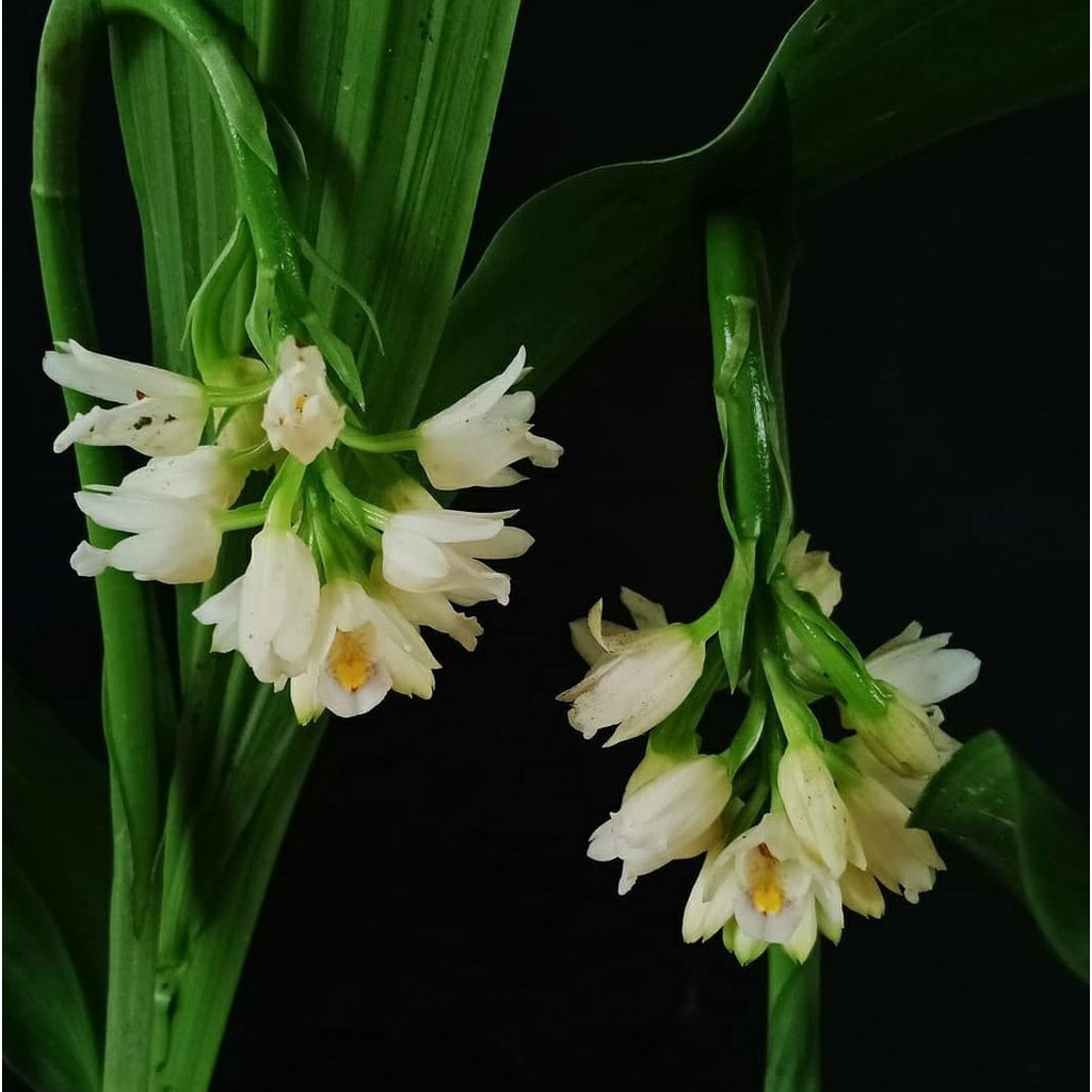My Image 3
