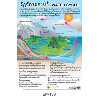 INTOP By OST Plastic Poster Water Cycle วัฏจักรของน้ำ : 50x70 Cm #EP-188