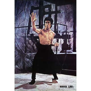 โปสเตอร์ ดารา หนัง บรูซลี Bruce Lee Poster - The Way of the Dragon POSTER 21"x31" KUNG FU FIGHTING v3