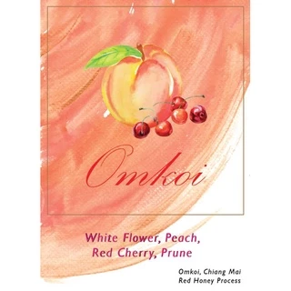 (อย่าลืม!เก็บโค้ดส่งฟรี! ขั้นต่ำ เริ่มต้น0บ.)เมล็ดกาแฟคั่วอ่อน Peach (Doi Chaang & Ethiopia)