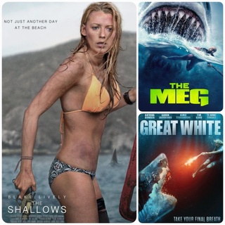 DVD หนังฉลาม-แอคชั่น ☆Great White☆The Meg☆The Shallows - มัดรวม 3 เรื่องดัง #แพ็คสุดคุ้ม (ดูพากย์ไทยได้-ซับไทยได้)