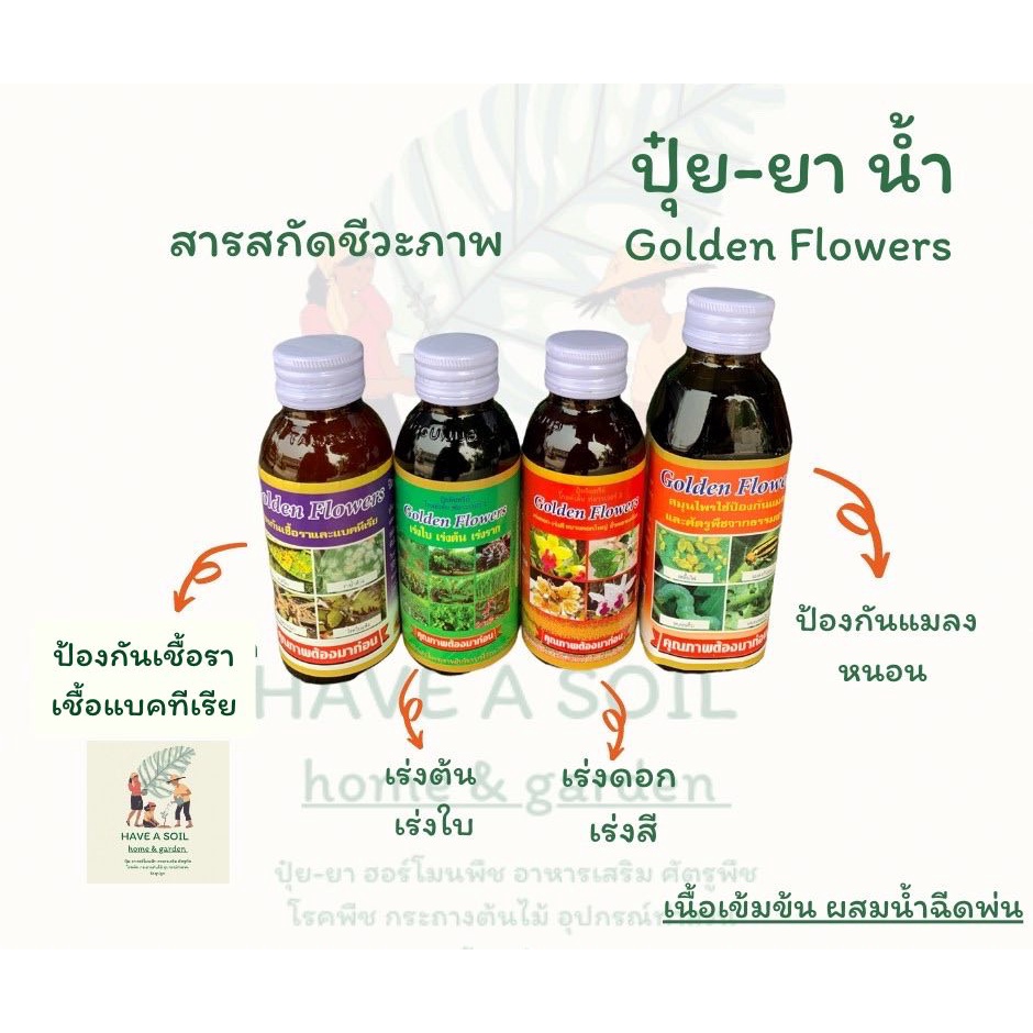 Golden flowers ชนิดน้ำ 100 ซีซี ยากันรา ยาเร่งราก ยากันแมลง ราสนิม เร่งดอก ปุ๋ย แคคตัส กระบองเพชร ป้