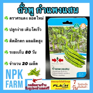 ผักซอง ศรแดง ถั่วพู กำแพงแสน จำนวน 20 เมล็ด/ซอง เมล็ดพันธุ์ ลอตใหม่ เติบโตเร็ว ติดฝักดก ผลผลิตสูง ลำต้นและข้อเขียว