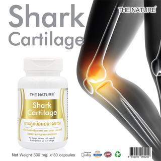 กระดูกอ่อนปลาฉลาม x 1 ขวด เดอะ เนเจอร์ Shark Cartilage THE NATURE บรรจุ 30 แคปซูล