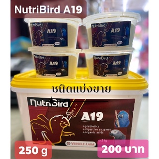 NutriBird A19 ชนิดแบ่งขาย