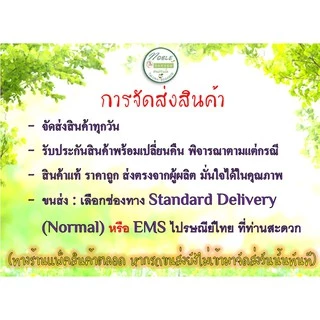 เมล็ดพันธุ์ เมล่อน กรีนเน็ต - Melon Green Net ตราดอกแตง เมล็ดพันธุ์ เมล็ดผัก คุณภาพ "เพื่อนเกษตรกร"