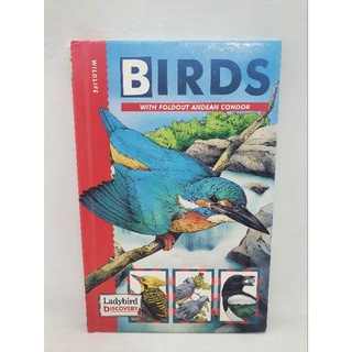 Birds. Wild Life. Lady Bird Discovery.-141