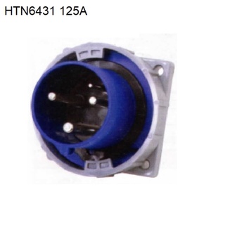 HTN 6431 ปลั๊กตัวผู้ฝังตรง 2P+E 125A 230V IP67 6h