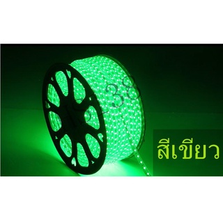 HS ไฟสายยางท่อแบน 5050 (100 เมตร)สีเขียว (แถมฟรี ปลั๊กหัวจ่าย 5ตัว)