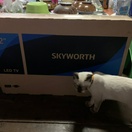 reviewSKYWORTH 32 นิ้ว รุ่น 32W2 Digital TV HD ready comment 1