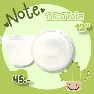 37POTS (ขายส่งยกโหล) กระถางใส ขนาด 12 นิ้ว สำหรับต้นไม้ที่ต้องการดูแลรากเป็นพิเศษ